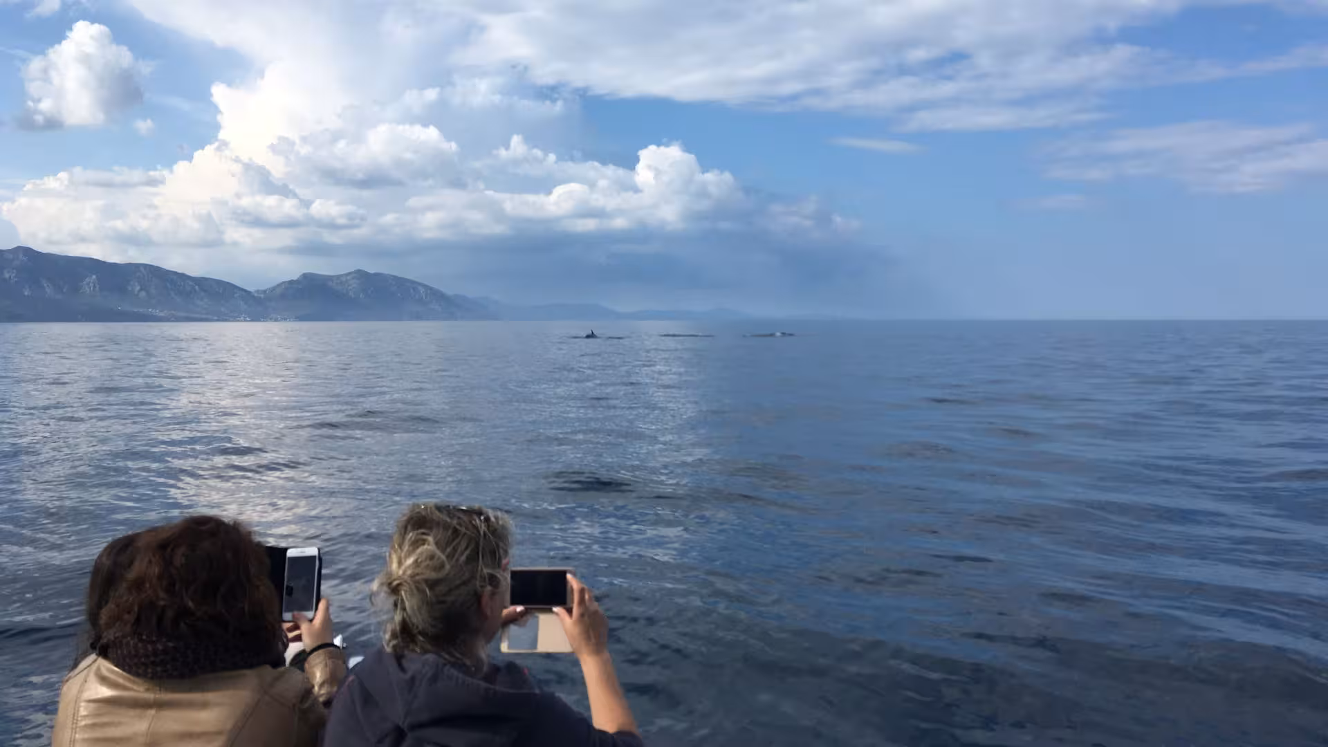 Visitors photographing distant dolphins against a scenic sky on a RIB tour from Cala Gonone.