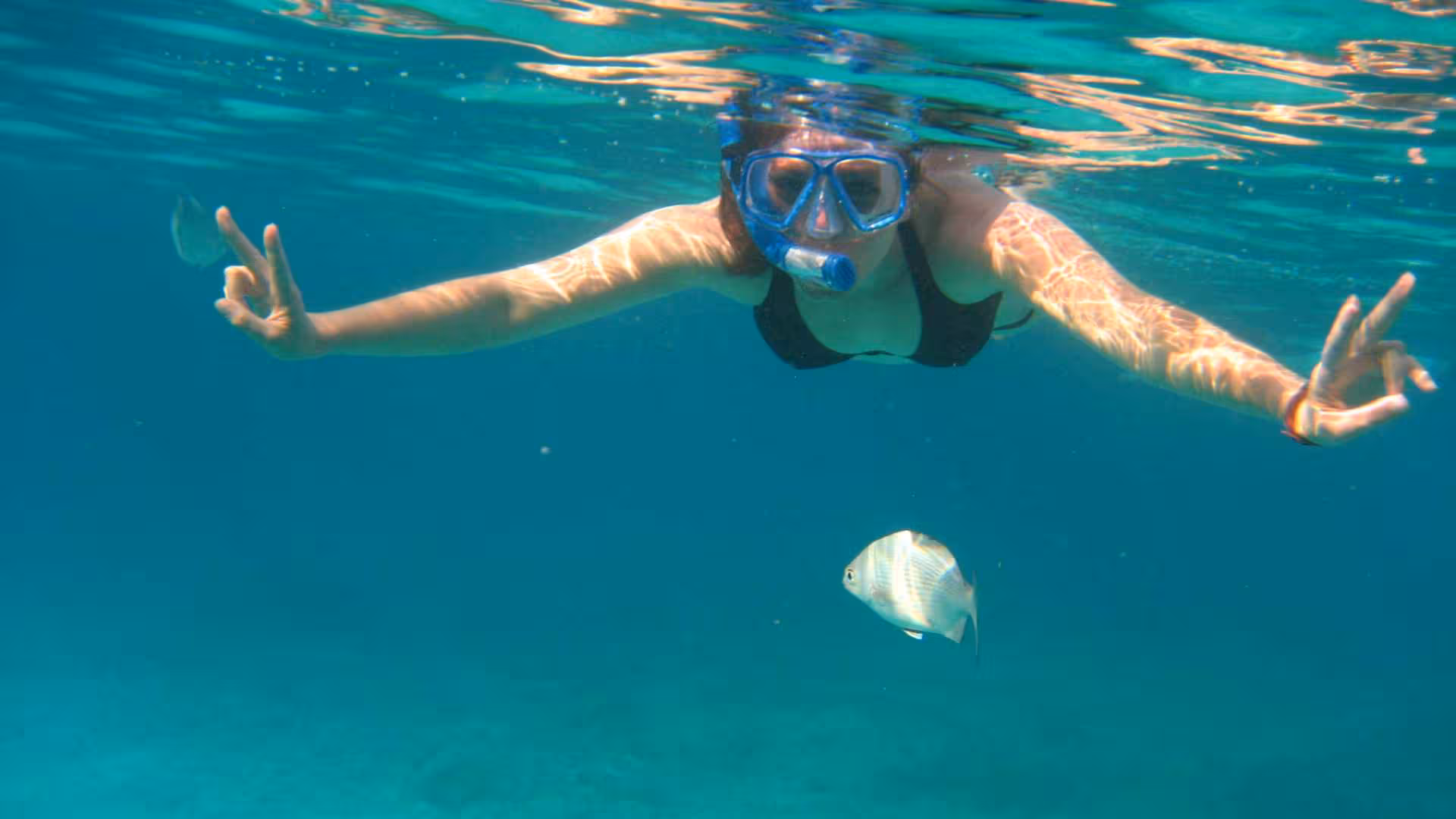 Snorkeler exploring vibrant marine life in Cala Gonone's Orosei Gulf with a silver fish nearby.