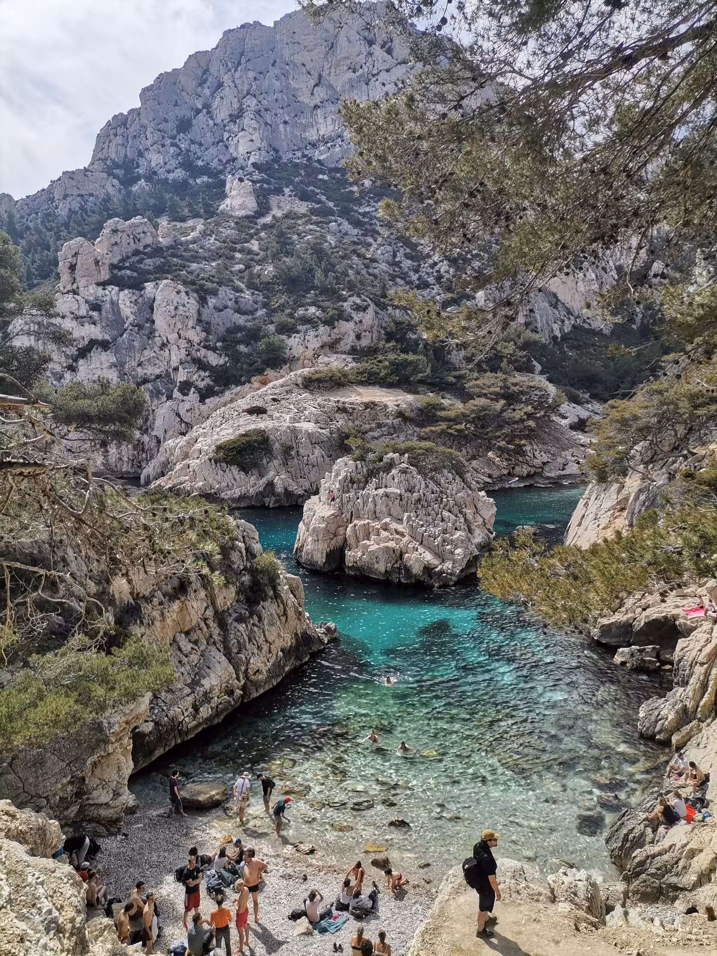 Turquoise Calanques cove near Marseille, rocky cliffs and swimmers, scenic stop on 14-day Provence hiking tour