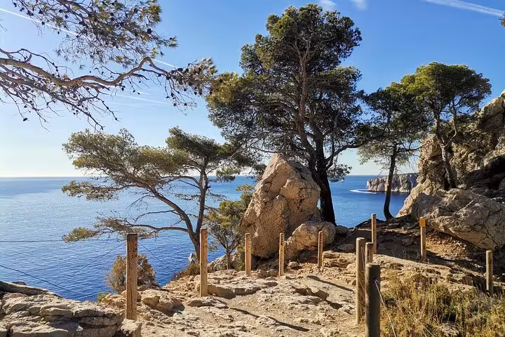 Coastal trail viewpoint in Calanques National Park from Marseille, pine trees and limestone cliffs above the sea