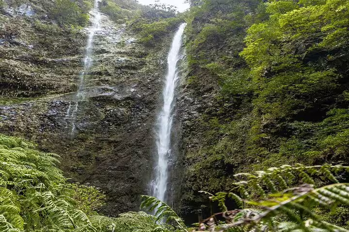 Majestic waterfall cascades down a rocky cliff surrounded by vibrant greenery on the Caldeirão Verde Levada hike.