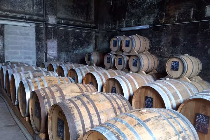 Oak barrels aging Calvados in a Normandy distillery cellar