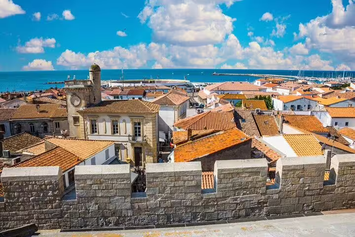 Aerial view of terracotta rooftops and harbor in Camargue coastal town under blue sky