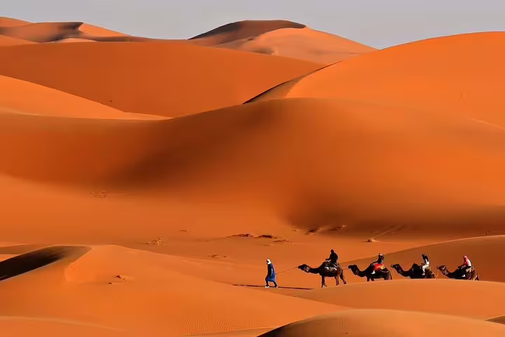 Camel caravan traversing the golden dunes of Dubai's desert, ideal for a safari adventure with BBQ dinner and live entertainment.