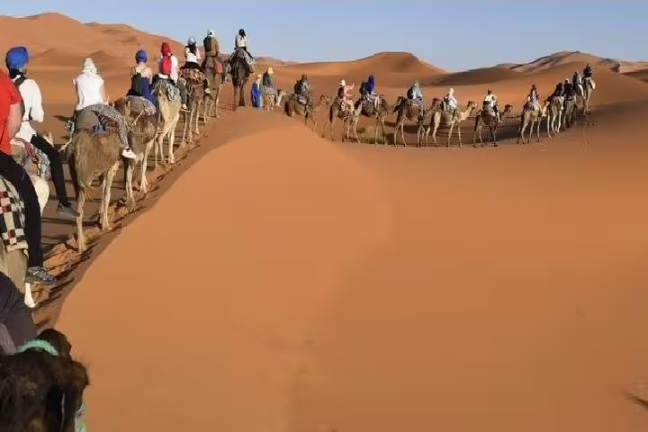 Camel caravan crossing Erg Chebbi dunes at sunset, Merzouga Sahara experience on Big Morocco Tour 15 days Casablanca