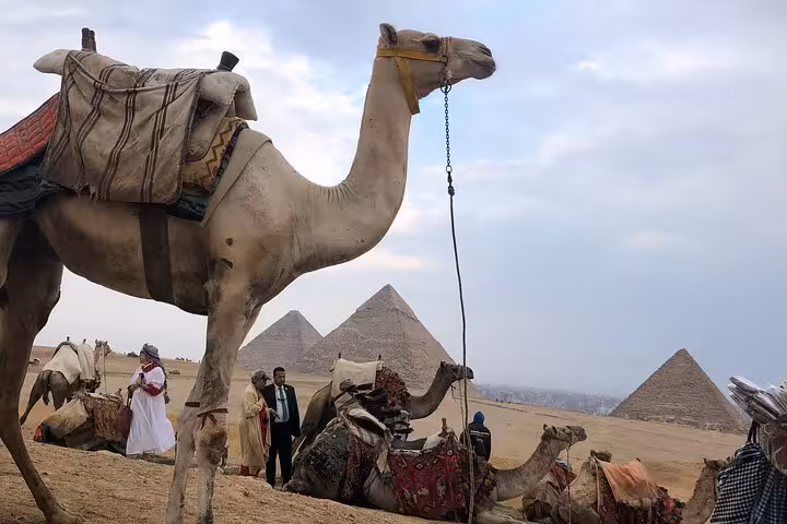 Camel caravan near the Giza Pyramids, classic desert scene on a private 3-day Cairo, Giza and Alexandria tour