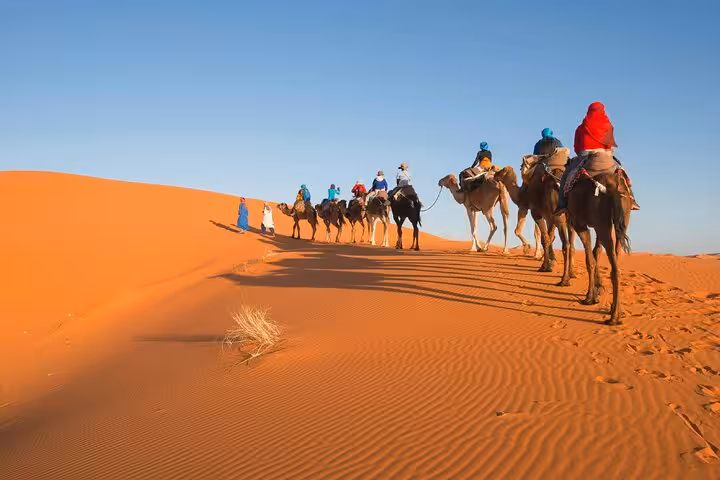 Camel caravan trekking through the vast, sunlit sand dunes of the Merzouga Desert in Morocco.