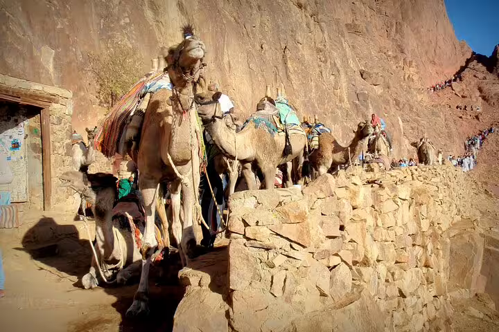 Camel caravan on the Mount Sinai trail near St Catherine, part of the Sharm El Sheikh sunrise climb tour
