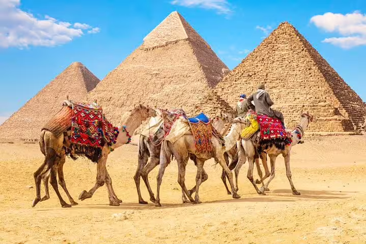 Camel caravan in front of the Pyramids of Giza on semi-private Cairo tour from Hurghada by minivan