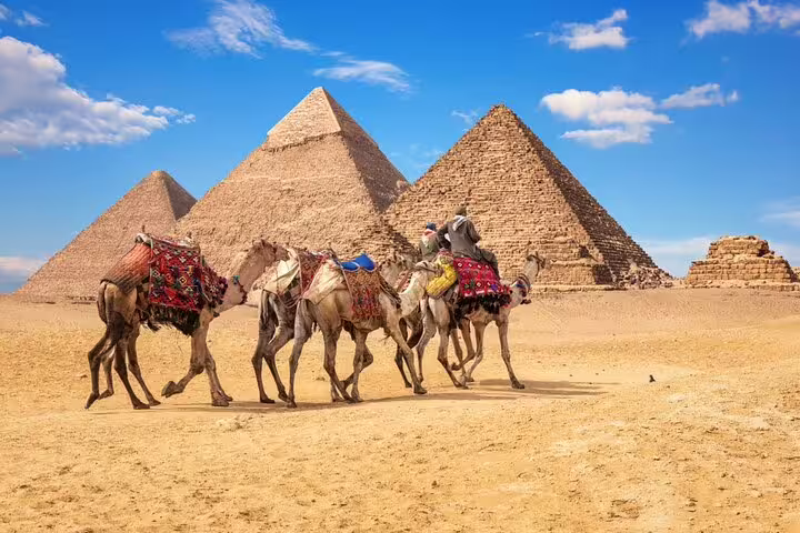 Camel caravan in front of the Pyramids of Giza, Cairo day trip by bus from Sharm El Sheikh with guide