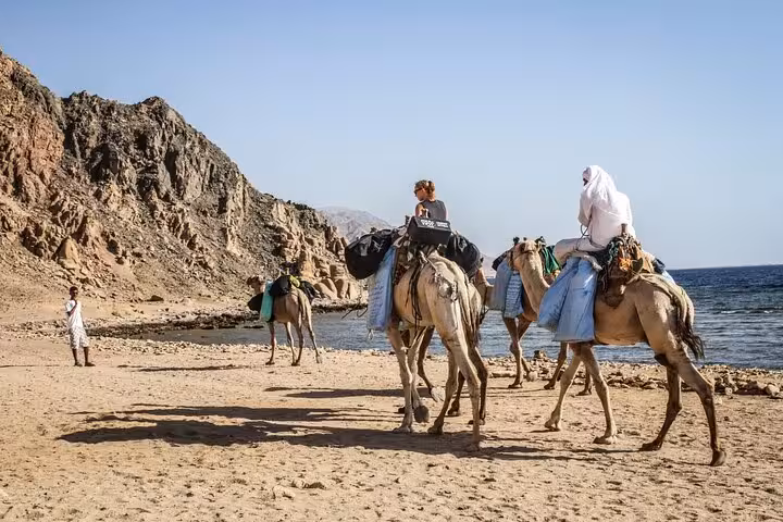 Camel caravan on Red Sea beach near Dahab, part of Jeep Safari Canyon Salama tour from Sharm El Sheikh