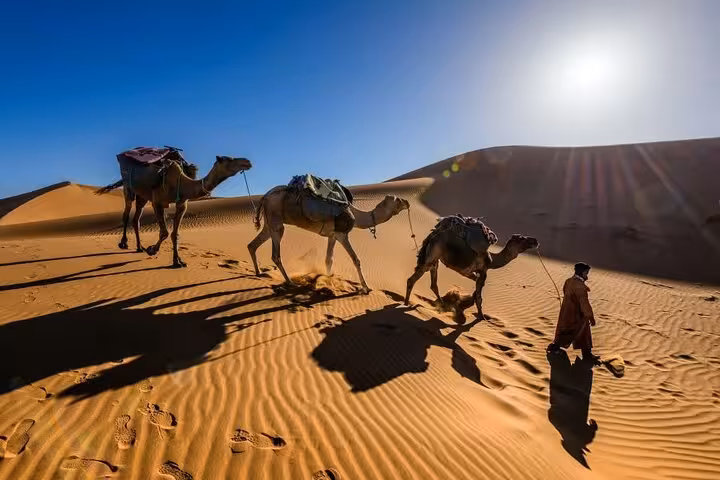 Camel caravan traversing golden Sahara dunes under a bright blue sky on a Marrakech to Fes 3-day desert tour.