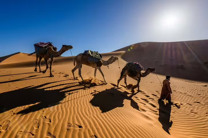 Camel caravan crossing Sahara dunes at sunrise on private 6-day desert tour from Casablanca to Marrakech