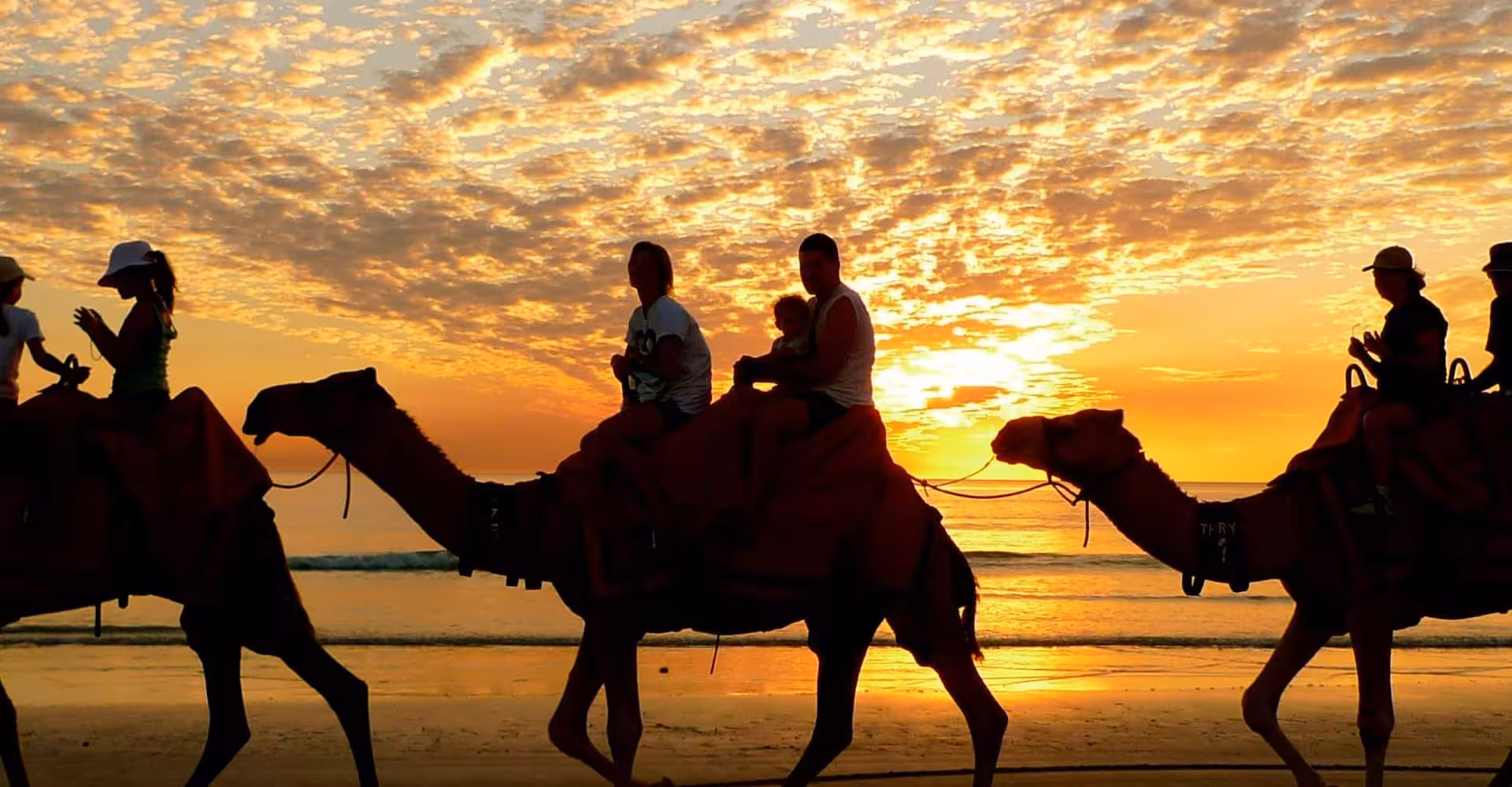 Camel caravan at sunset on Hurghada beach, Red Sea coast, a scenic desert safari experience in Egypt