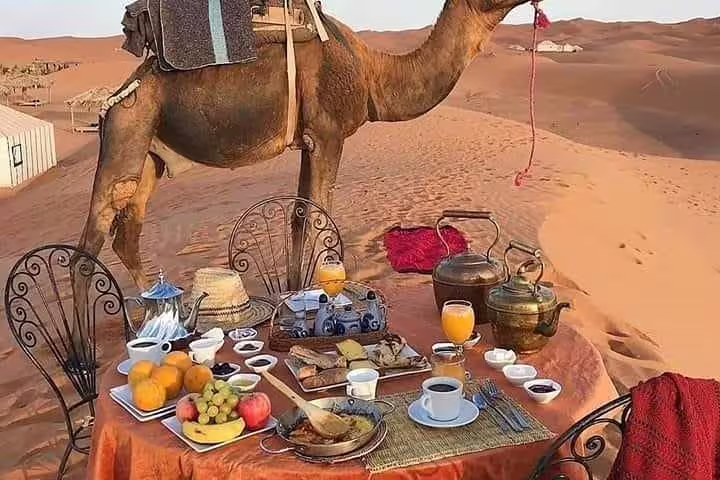 Camel beside desert breakfast table in Merzouga Erg Chebbi dunes, highlight of Morocco 10 days tour from Casablanca