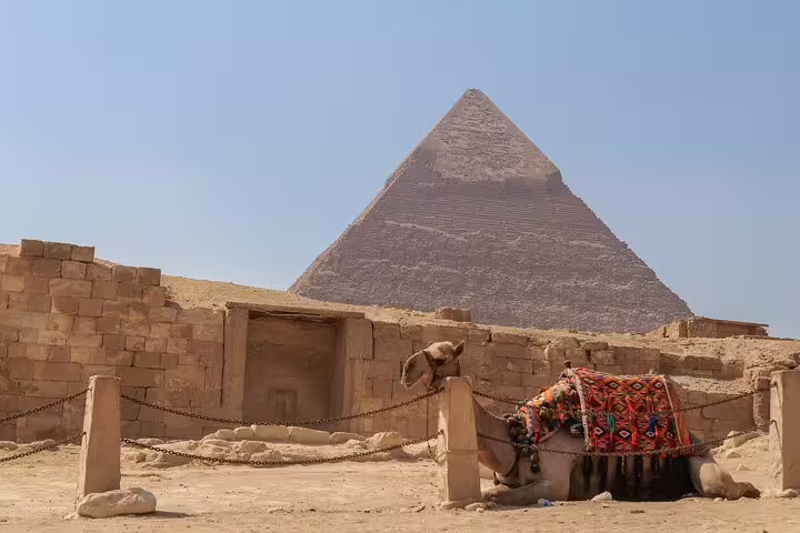 Camel resting near Giza Pyramid during Cairo tour from Alexandria, private transfer and return to Port Said