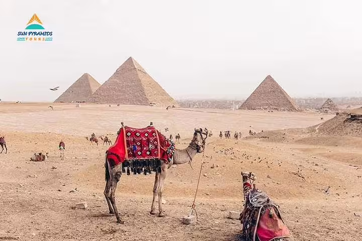 Camel near Giza Pyramids, Cairo desert view—iconic experience on 15 days 14 nights Holy Family tour Egypt