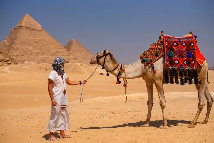 Camel with colorful saddle near Giza Pyramids, part of Hurghada to Cairo pyramids and Egyptian Museum tour