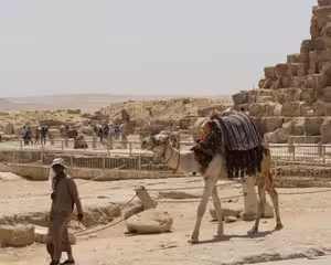 Guide leading a camel near the Giza Pyramids with ancient stone ruins and tourists in background