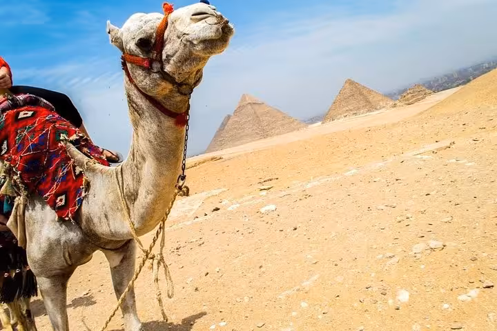 Camel ride in Giza Desert with the Great Pyramids in background, classic Cairo day trip tour photo
