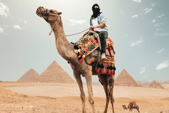 Traveler on decorated camel with Giza Pyramids backdrop, sunrise or sunset camel ride with hotel transfers in Cairo