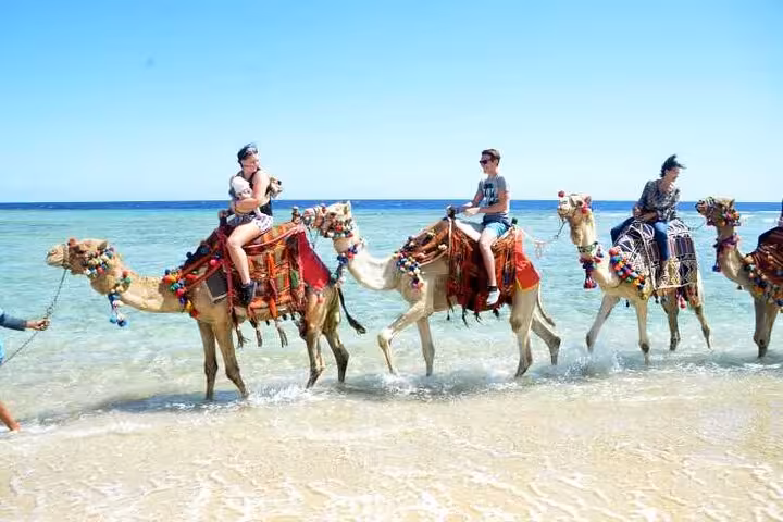 Tourists riding decorated camels along Hurghada Red Sea shoreline, beach safari experience with clear blue water