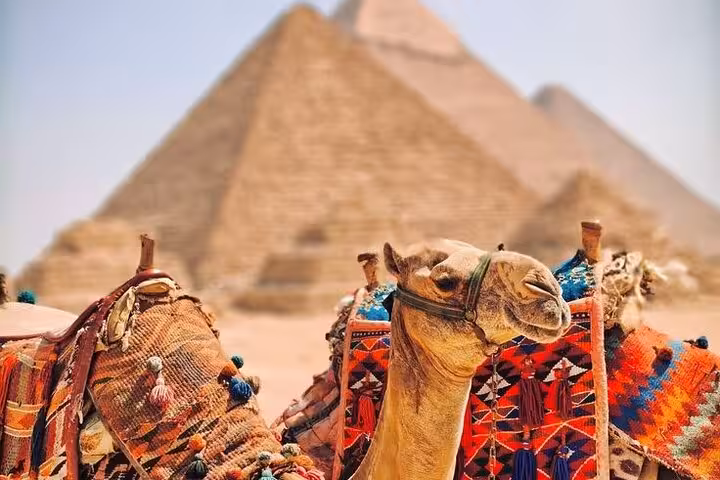 Colorful camel saddle with Great Pyramids of Giza behind, on Grand Egyptian Museum and Sphinx day tour