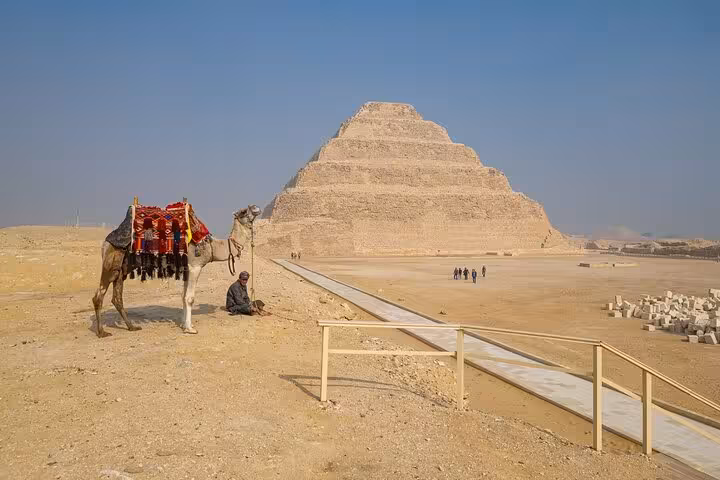 Camel resting near Saqqara Step Pyramid on Cairo day trip tour to Sakkara and Memphis with lunch