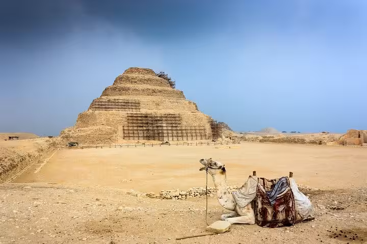 Camel resting near the Step Pyramid of Saqqara on a full-day Cairo and Giza Pyramids bus tour from Sharm El Sheikh