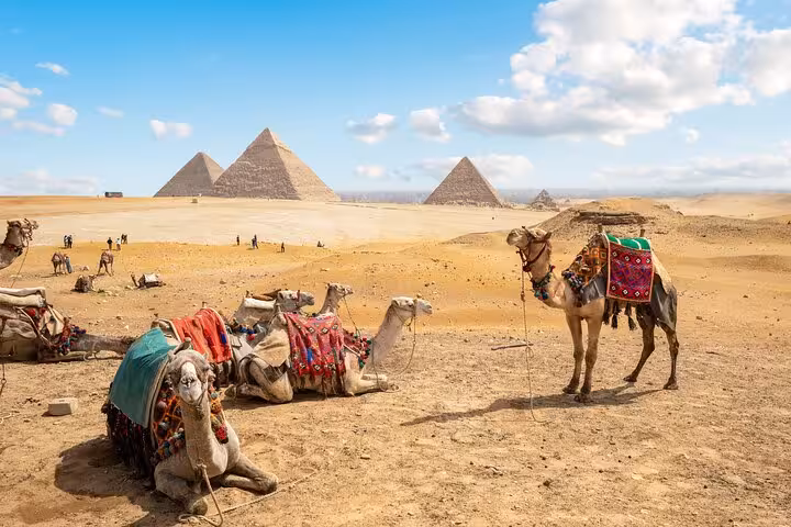Colorful camels resting near Giza pyramids, classic Cairo day tour to pyramids and Khan El Khalili bazaar