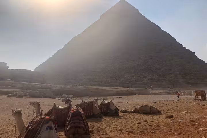 Camels resting near the Great Pyramid of Giza at sunrise, iconic Cairo stop on a 5-day Cairo and Luxor tour