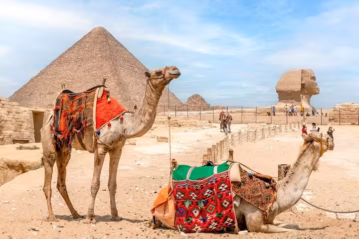Camels resting near the Sphinx and Giza Pyramids, classic photo stop on Cairo day trip from Sharm by bus