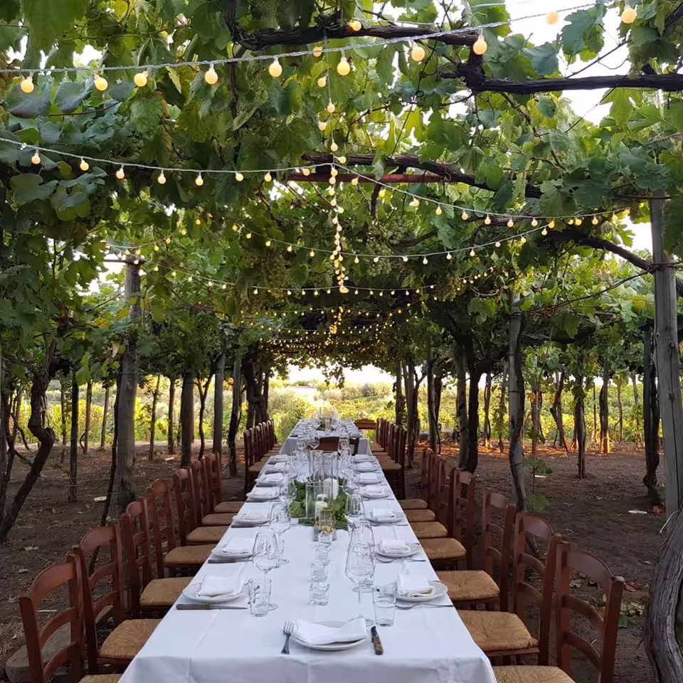 Long candlelit table set for dinner beneath grapevines and fairy lights in a vineyard on Mount Vesuvius at sunset
