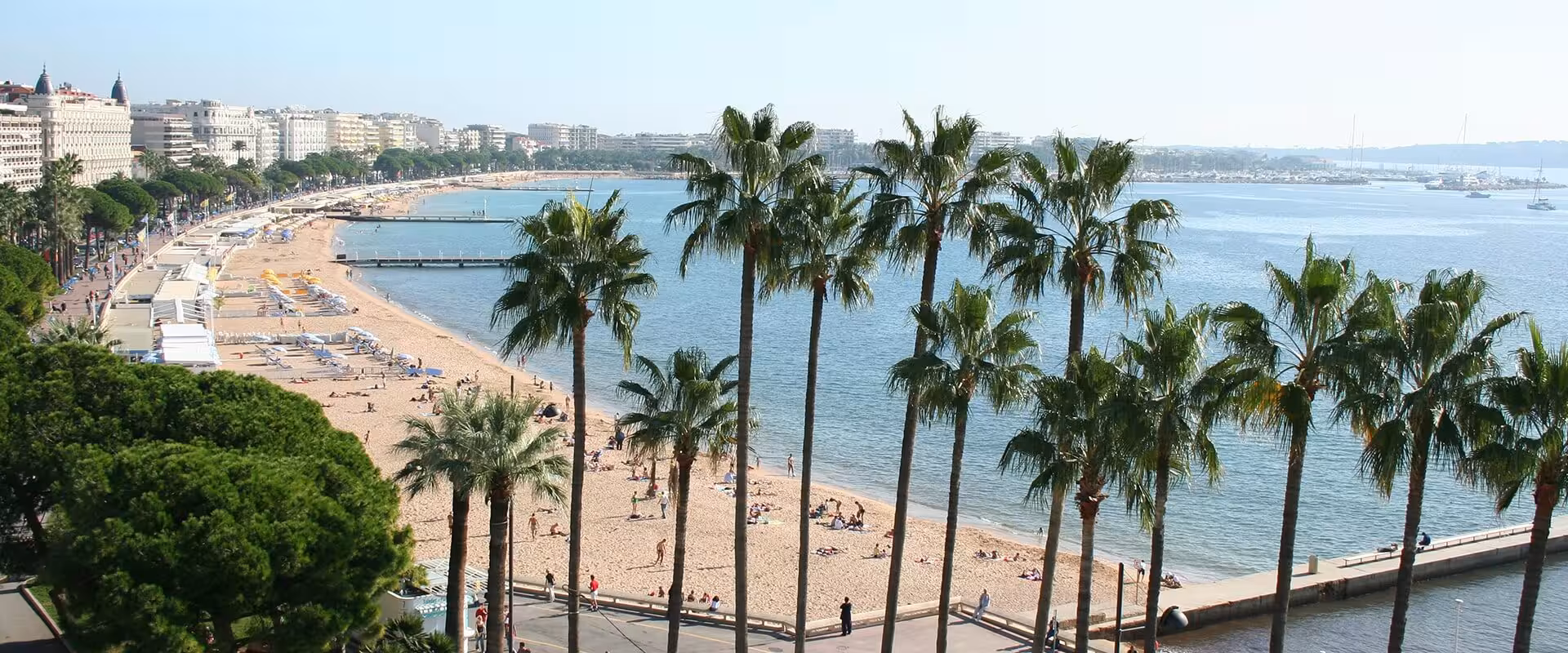 Aerial view of Cannes beach and palm-lined La Croisette promenade with Mediterranean Sea