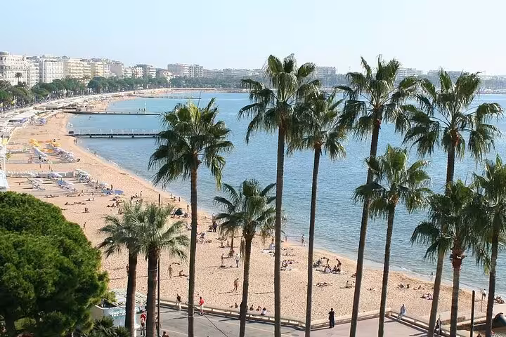 Palm tree-lined Cannes beach on the French Riviera with turquoise water and city skyline