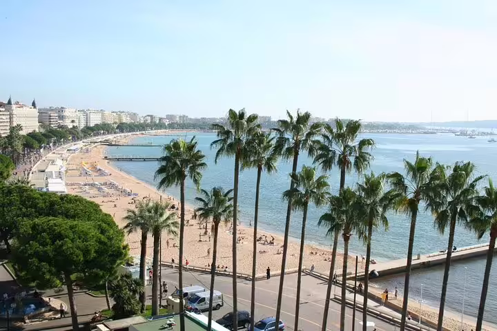 Aerial view of Cannes beachfront promenade with palm trees along the French Riviera coastline