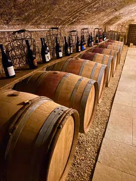 Oak wine barrels aging in a stone cave cellar with wine bottles displayed on racks along the wall