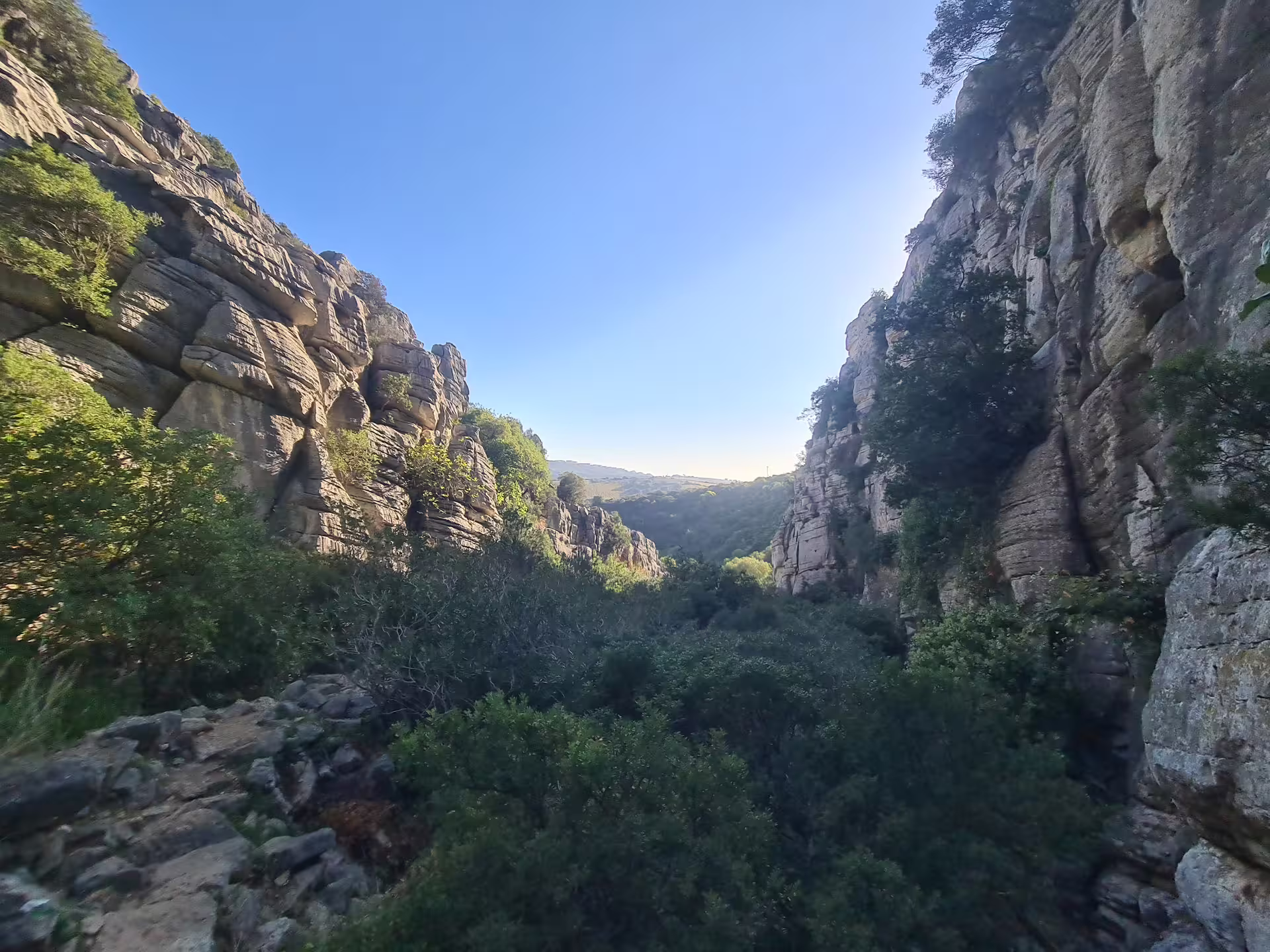 Dramatic canyon view with rugged cliffs and green foliage in Canuto de la Utrera, perfect for hikers.