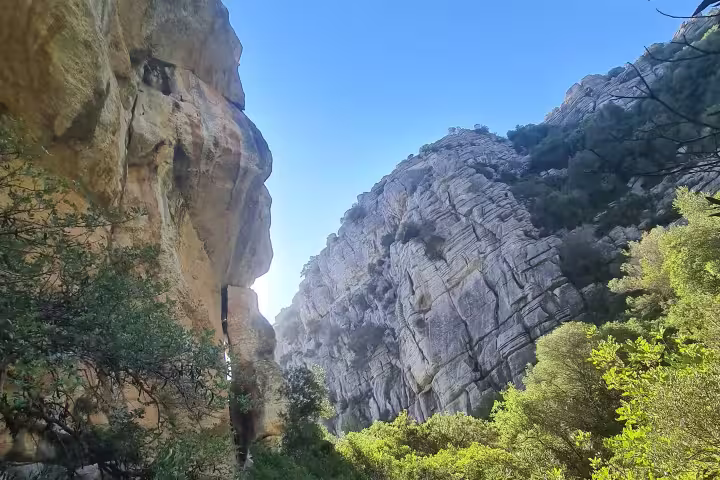 Dramatic view of Canuto de la Utrera cliffs with lush greenery, showcasing the stunning hiking landscape of Costa del Sol.