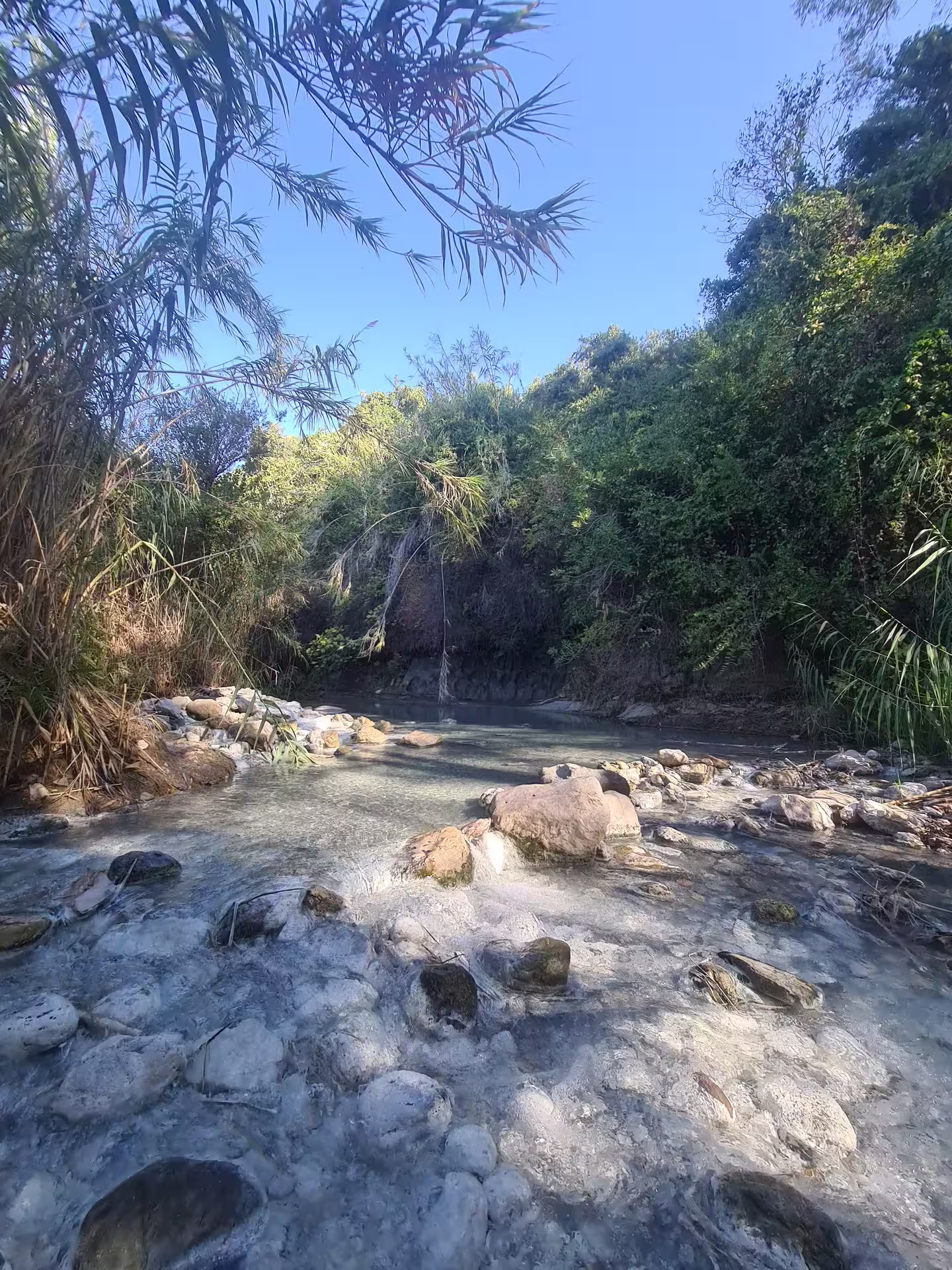 Crystal-clear riverbed with smooth stones and vibrant vegetation in Canuto de la Utrera, a hiking paradise.