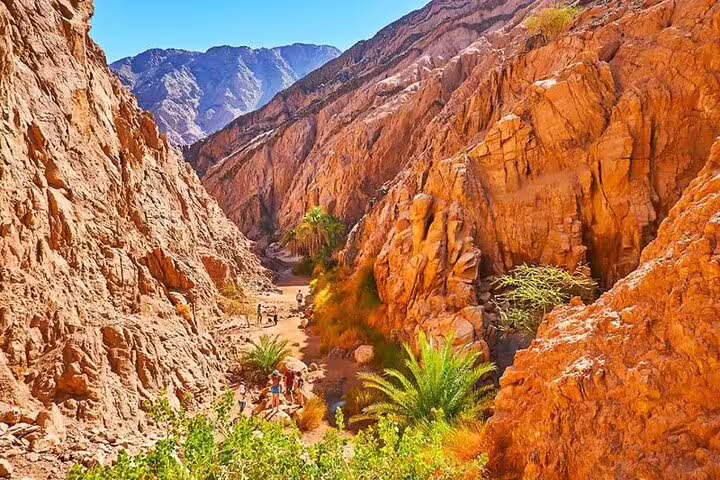 Colorful Sinai canyon with palms on Canyon Salama and Dahab Jeep safari excursion from Sharm El Sheikh