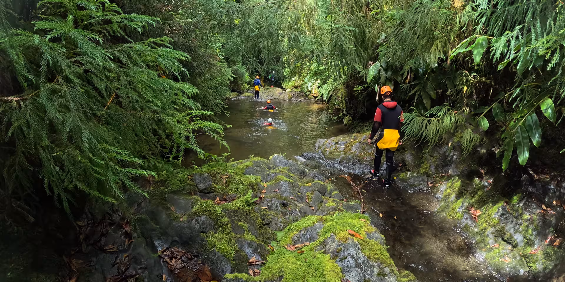 Group canyoning through rainforest stream and rock pools, wetsuits and helmets on CANYONING Outward Shore tour
