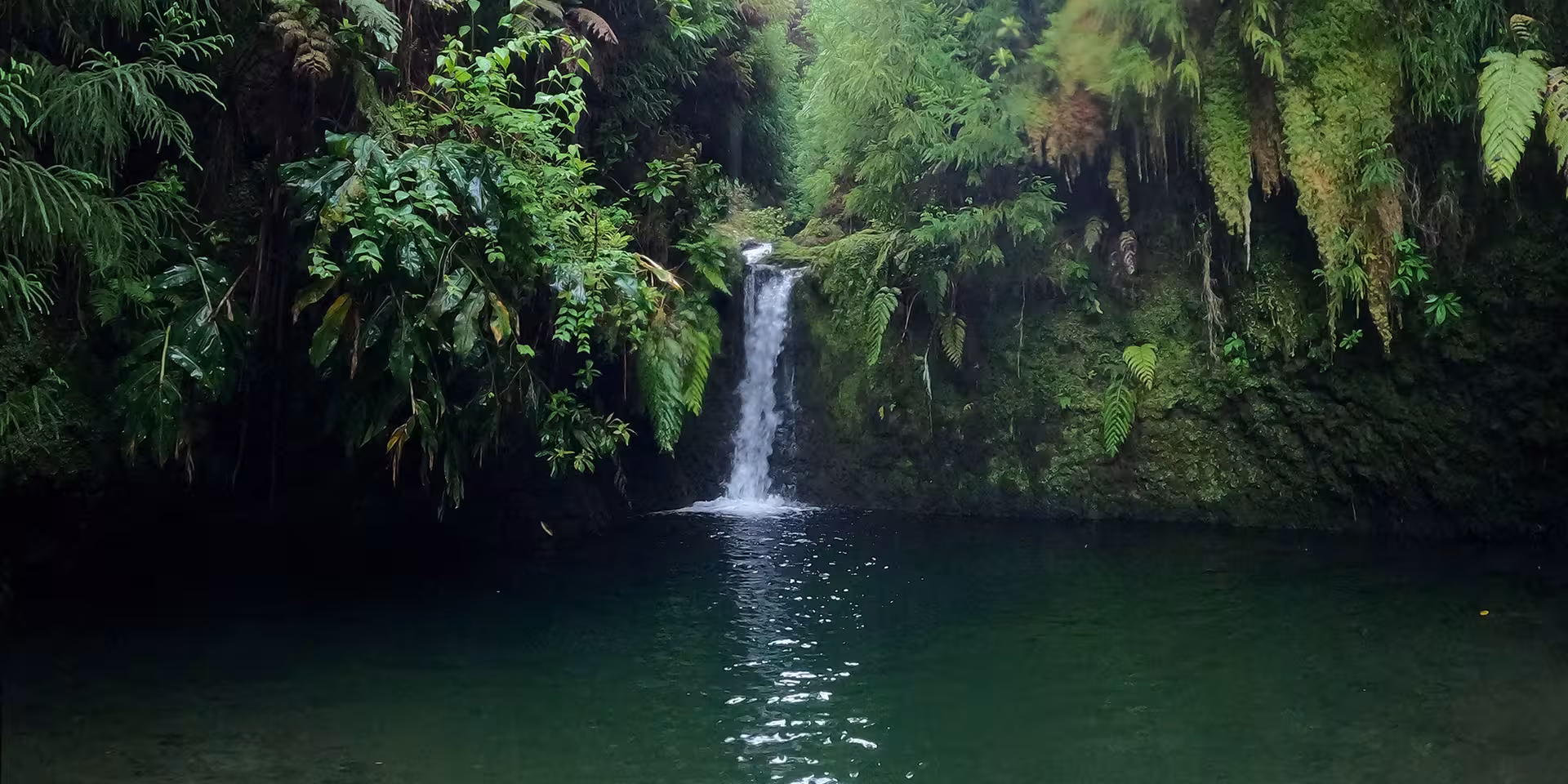 Lush rainforest waterfall and emerald pool on CANYONING Outward Shore tour, ideal for nature adventure
