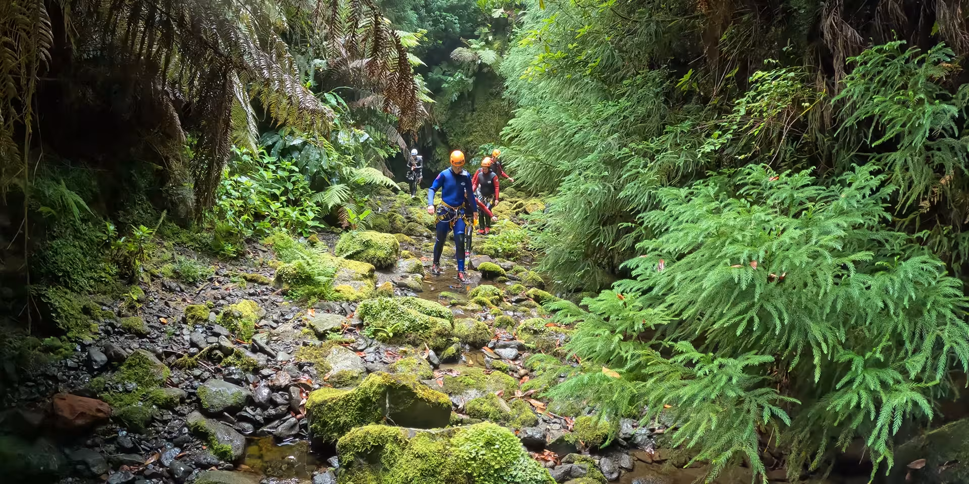 Canyoning Outward Shore hikers in wetsuits trekking a fern-filled canyon stream over mossy rocks
