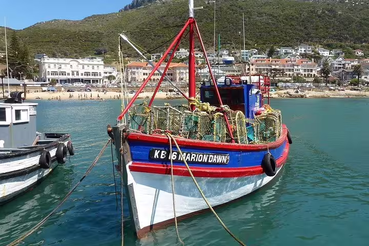 Colorful fishing boat docked at a picturesque harbor, reflecting the vibrant maritime culture of Cape Peninsula.