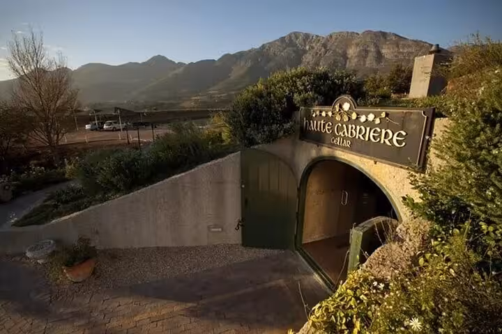 Scenic view of Haute Cabrière wine cellar entrance amid lush landscapes near Cape Point on a private tour.