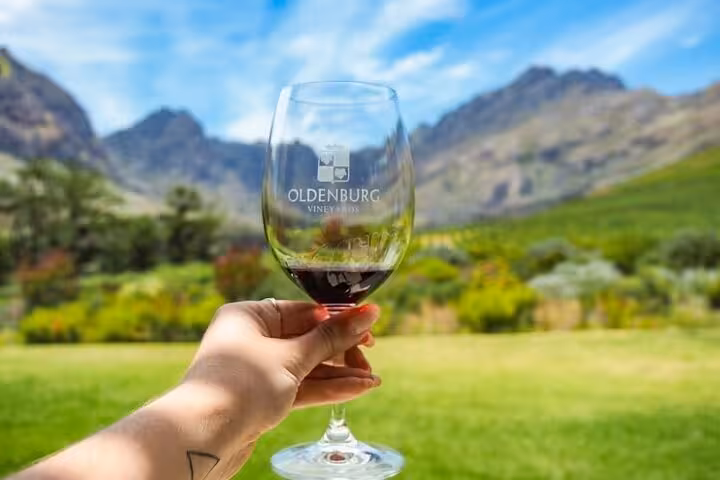 Hand holding a glass of red wine with a scenic view of vineyards and mountains at Oldenburg Vineyards.