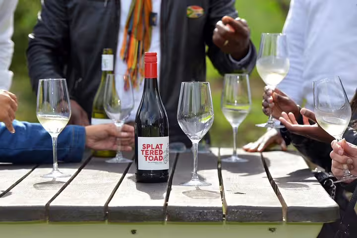 Wine tasting experience with glasses and bottle on a wooden table, part of a Cape Point private day tour.