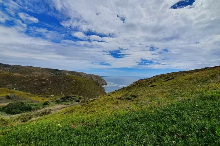 Breathtaking landscape of Cape Roca with green meadows and dramatic cliffs meeting the Atlantic Ocean under a cloudy sky.