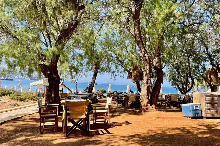 Seafront taverna under trees on the Athenian Riviera, relaxing break during Cape Sounio Temple of Poseidon tour